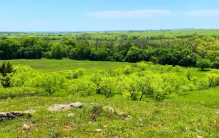 2683 Hwy. 81 N. Bowie, Tx. 6230 – photo 2