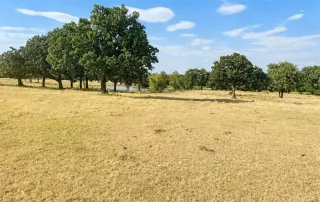 0 Northpark Dr. Bowie, tx. 76230 – photo 3