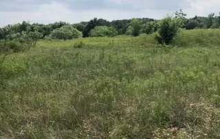 0 Decatur St. Hwy 287 Access Rd. Bowie, Tx. 76230 – photo 5