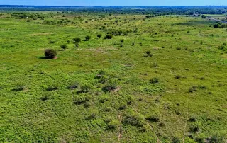 00 Highway 81 N. Bowie, Tx. 76230 – photo 6
