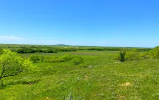 2683 Hwy. 81 N. Bowie, Tx. 6230 – photo 8