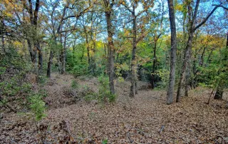 TBD FM 373, Saint Jo, Tx. 76265 – photo 8