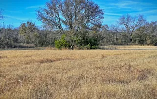 TBD FM 373, Saint Jo, Tx. 76265 – photo 9