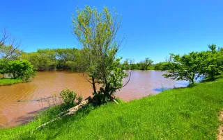2683 Hwy. 81 N. Bowie, Tx. 6230 – photo 10