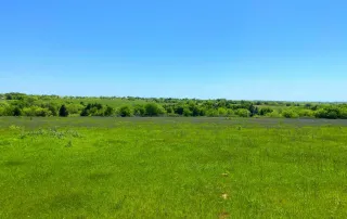 2683 Hwy. 81 N. Bowie, Tx. 6230 – photo 14