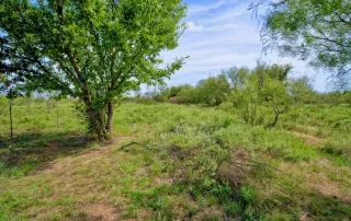 00 Highway 81 N. Bowie, Tx. 76230 – photo 15