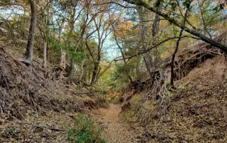 TBD FM 373, Saint Jo, Tx. 76265 – photo 16