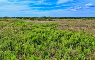 00 Highway 81 N. Bowie, Tx. 76230 – photo 17