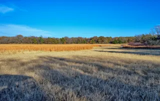 TBD FM 373, Saint Jo, Tx. 76265 – photo 17