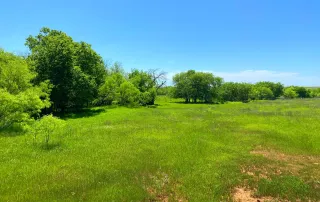 2683 Hwy. 81 N. Bowie, Tx. 6230 – photo 18