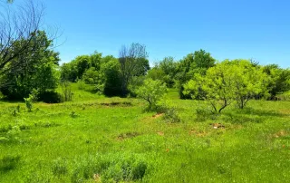 2683 Hwy. 81 N. Bowie, Tx. 6230 – photo 22
