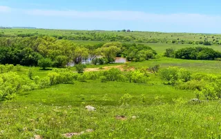 2683 Hwy. 81 N. Bowie, Tx. 6230 – photo 23