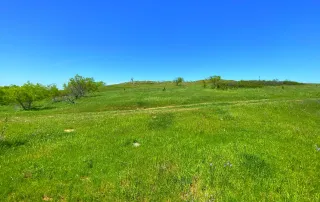 2683 Hwy. 81 N. Bowie, Tx. 6230 – photo 24