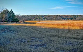 TBD FM 373, Saint Jo, Tx. 76265 – photo 24