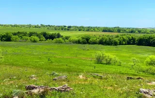 2683 Hwy. 81 N. Bowie, Tx. 6230 – photo 26