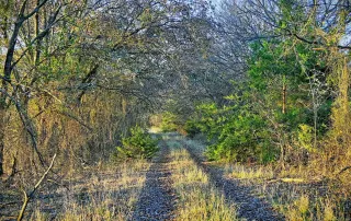 TBD FM 373, Saint Jo, Tx. 76265 – photo 26