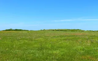 2683 Hwy. 81 N. Bowie, Tx. 6230 – photo 27