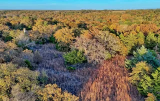 TBD FM 373, Saint Jo, Tx. 76265 – photo 28