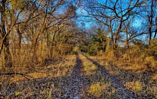 TBD FM 373, Saint Jo, Tx. 76265 – photo 31