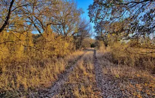 TBD FM 373, Saint Jo, Tx. 76265 – photo 32